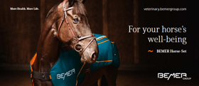 BEMER HORSE-SET®