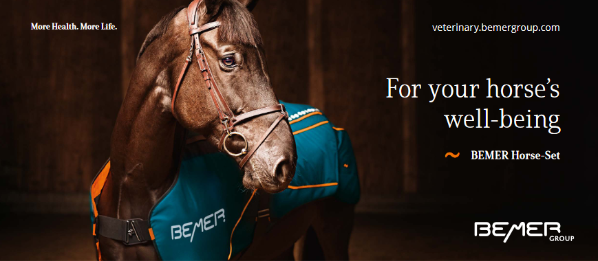 Z lásky ku koňom: Nová súprava BEMER HORSE-SET® pre zdravie vášho koňa
