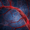 Arteriograph - certified device for non-invasive vascular diagnostics