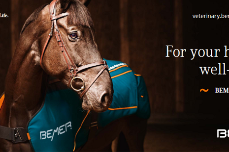 Aus Liebe zu den Pferden: Das neue BEMER HORSE-SET® für die Gesundheit Ihres Pferdes