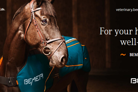 For the love of horses: The new BEMER HORSE-SET® for your horse's health